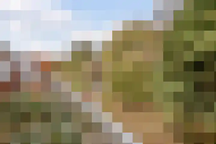 Lage Ham 13 03 Dongen thumbnail 47