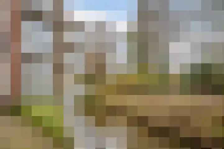 Lage Ham 13 03 Dongen thumbnail 48