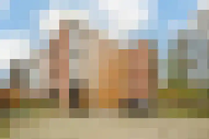 Lage Ham 13 03 Dongen thumbnail 5