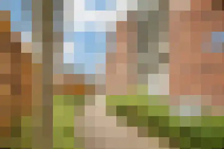 Lage Ham 13 03 Dongen thumbnail 8