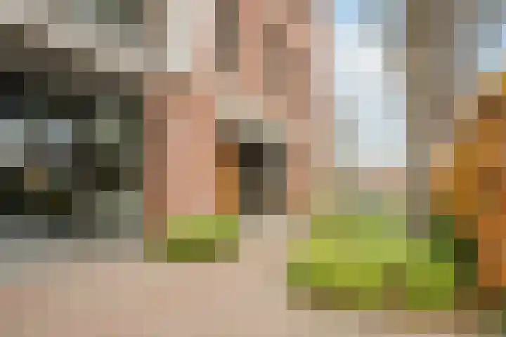 Lage Ham 13 03 Dongen thumbnail 9