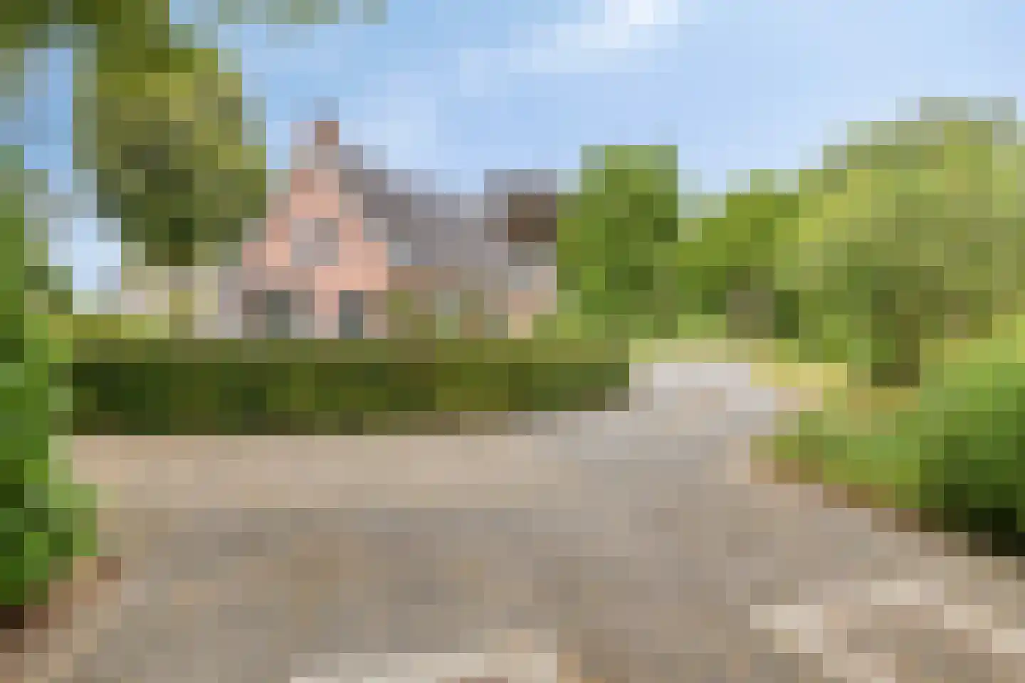 Lage Ham 151 Dongen thumbnail 14