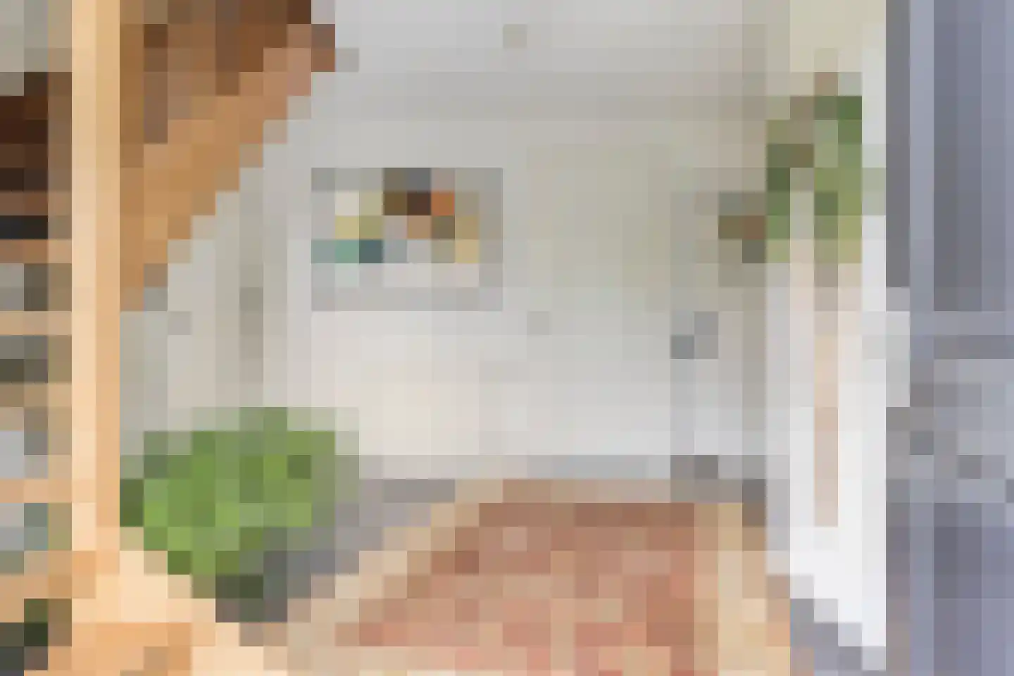 Lage Ham 151 Dongen thumbnail 15