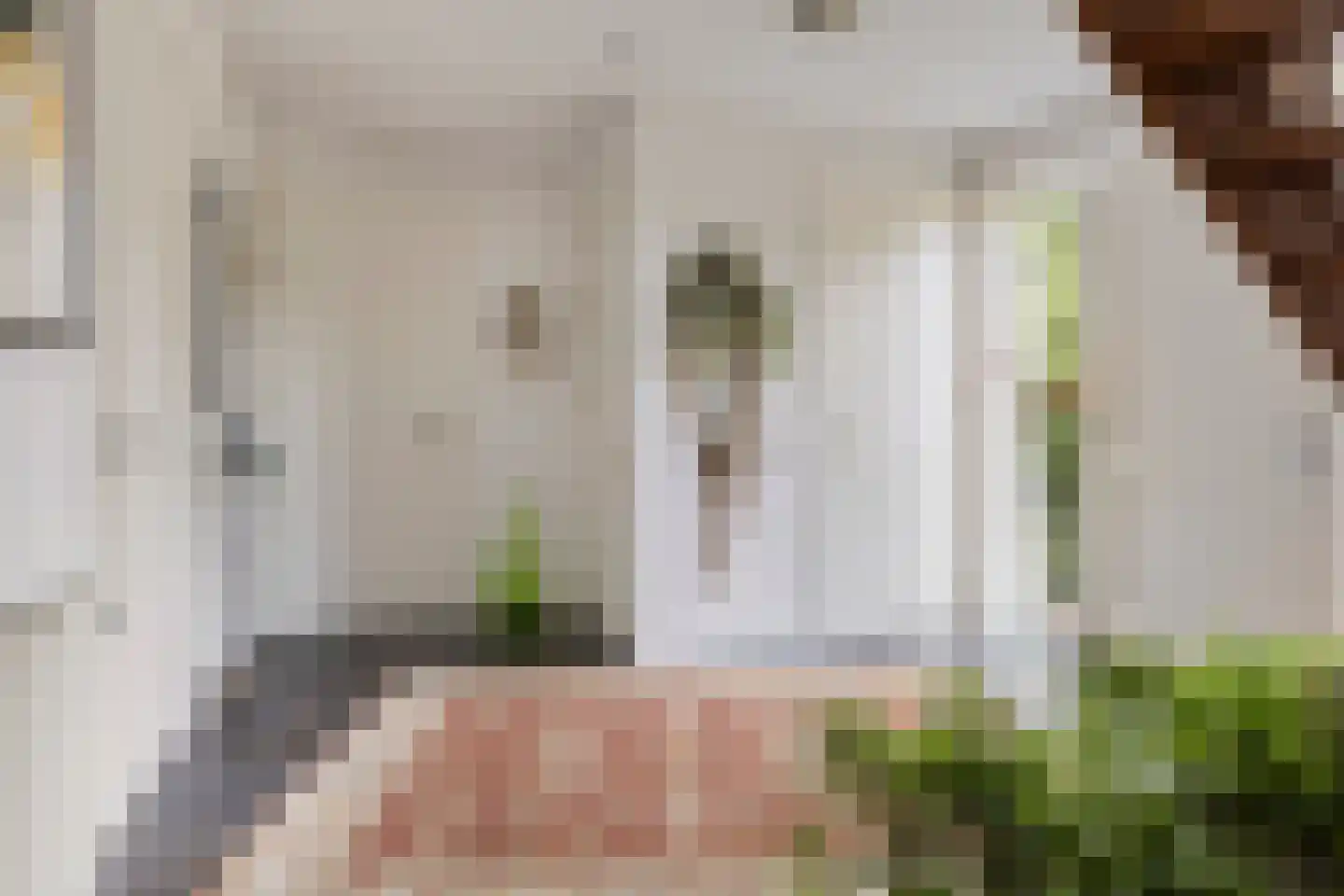 Lage Ham 151 Dongen thumbnail 16