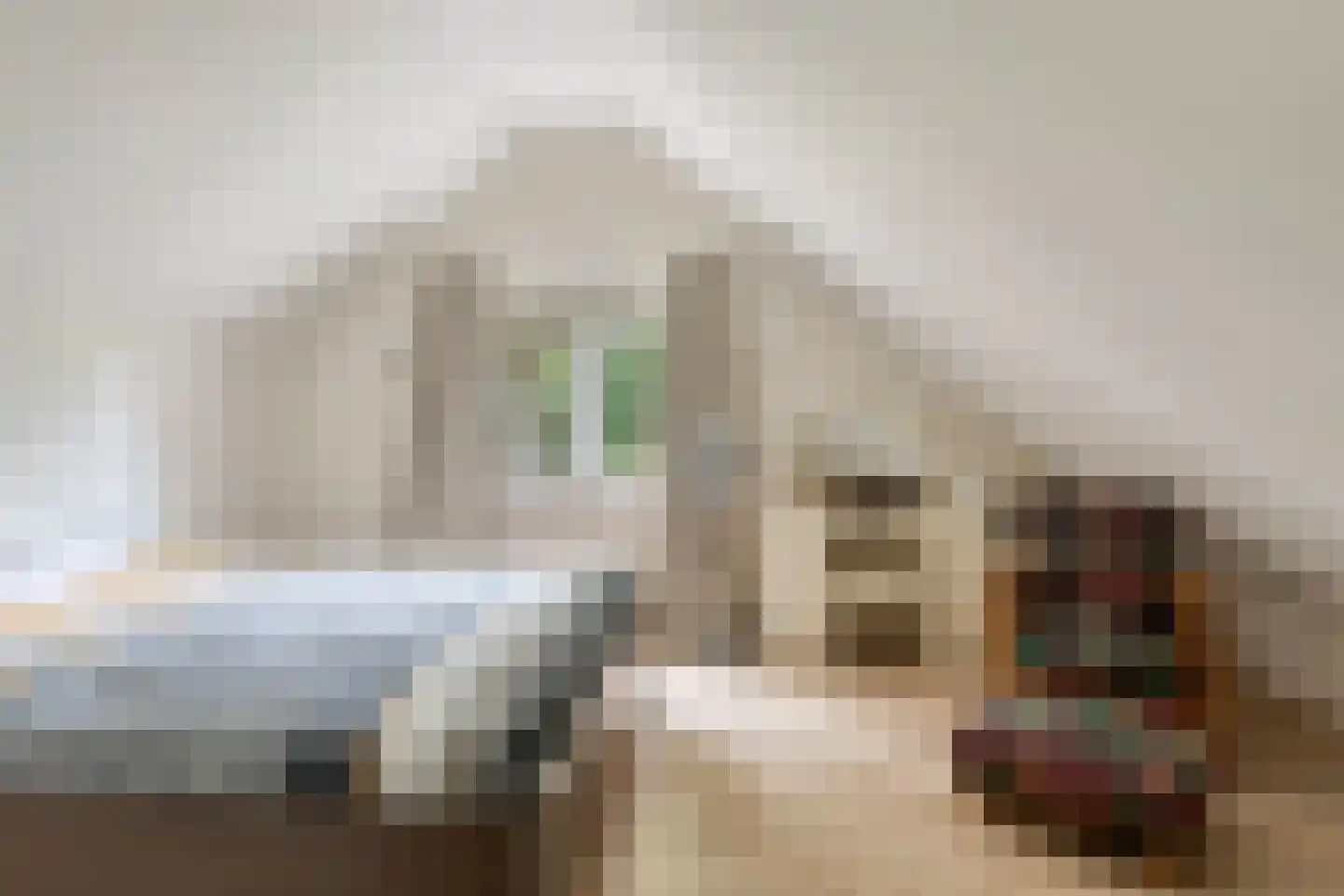 Lage Ham 151 Dongen thumbnail 32