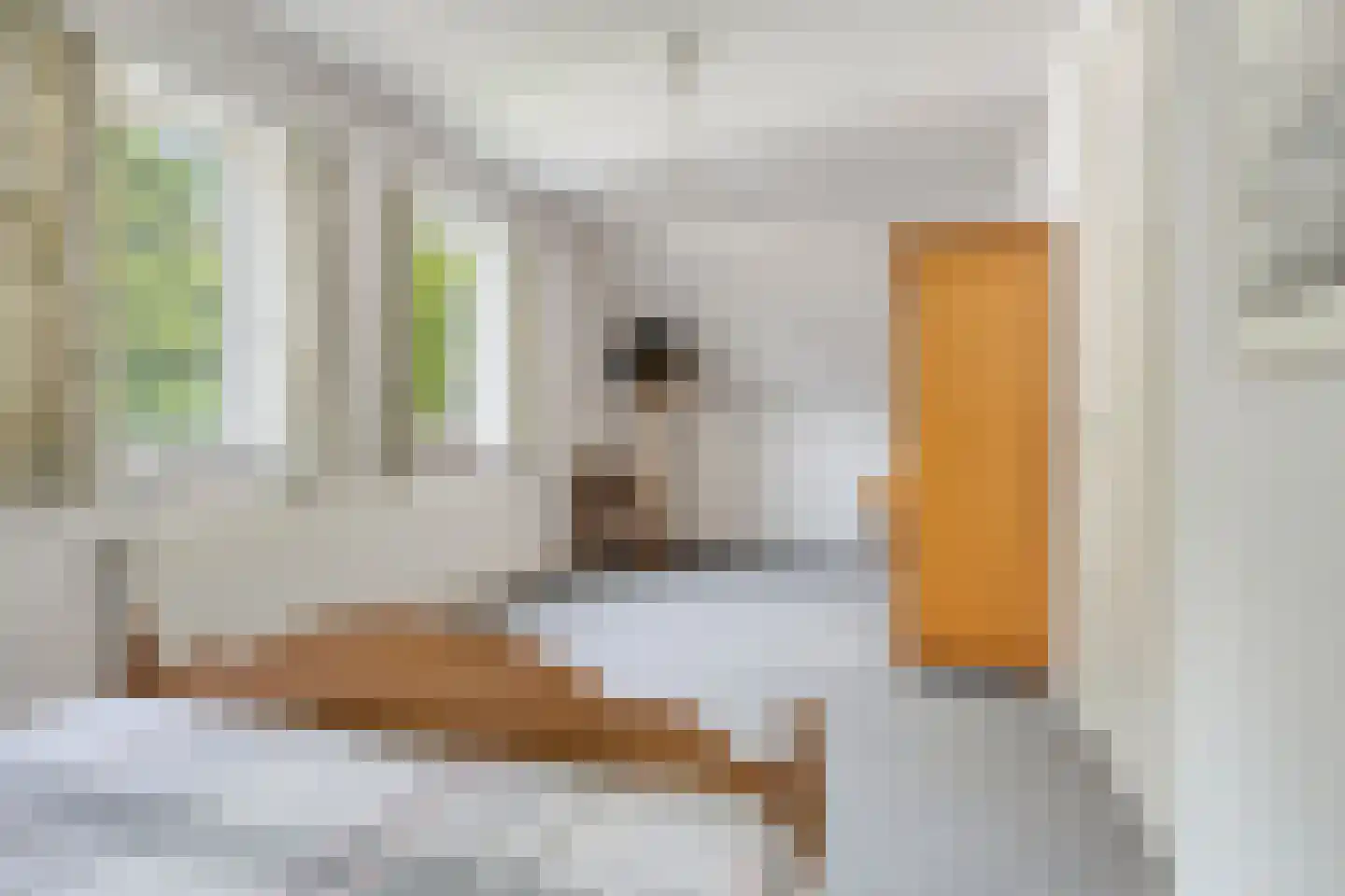 Lage Ham 151 Dongen thumbnail 35