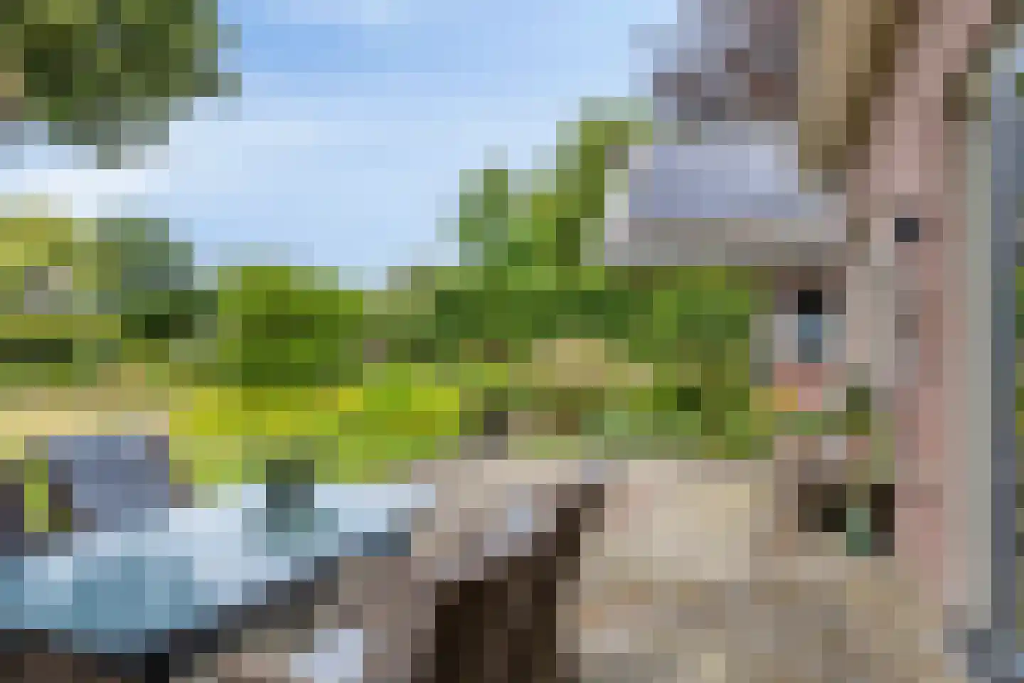Lage Ham 151 Dongen thumbnail 42