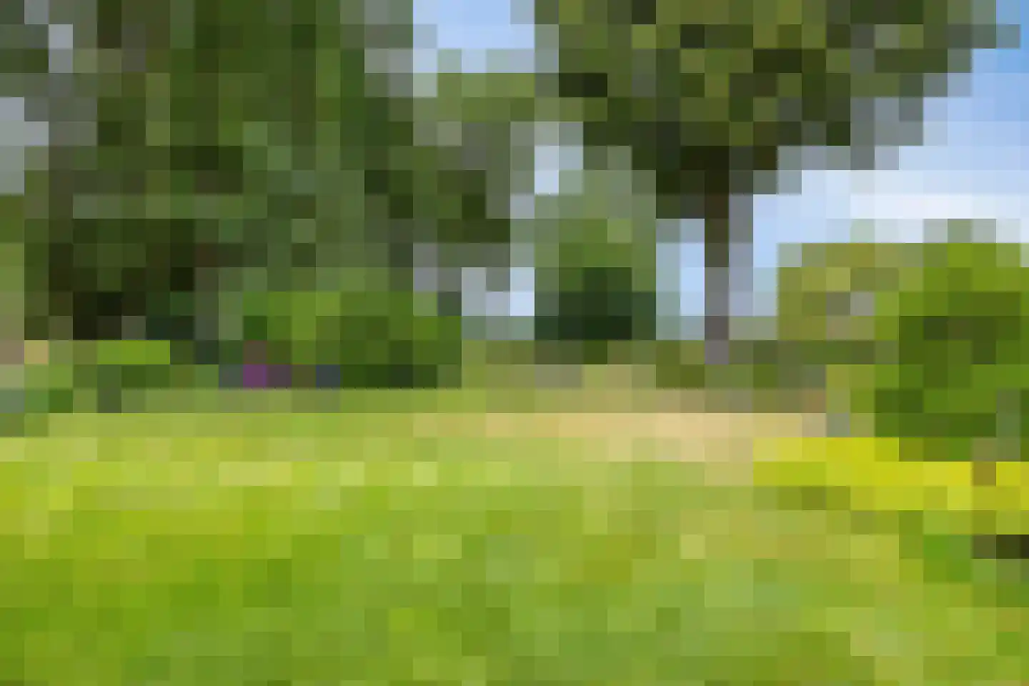 Lage Ham 151 Dongen thumbnail 44