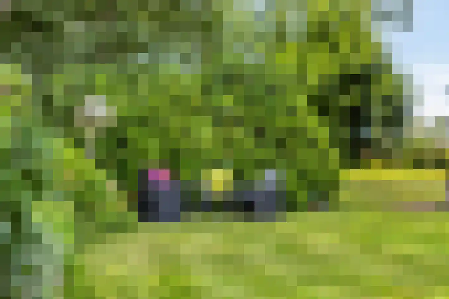 Lage Ham 151 Dongen thumbnail 45