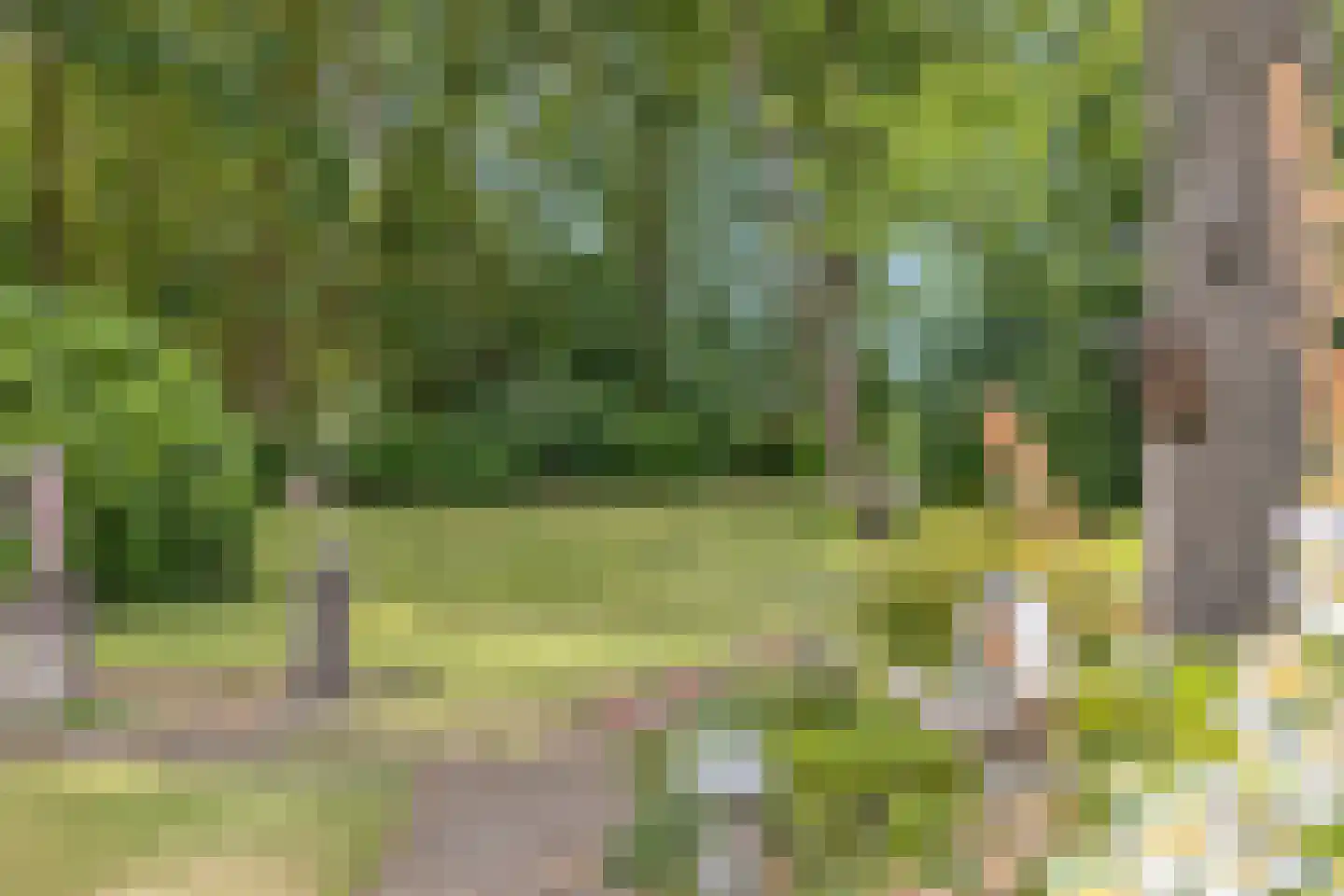 Lage Ham 151 Dongen thumbnail 46