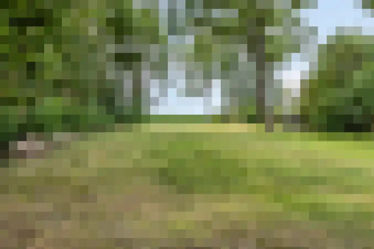 Lage Ham 151 Dongen thumbnail 47