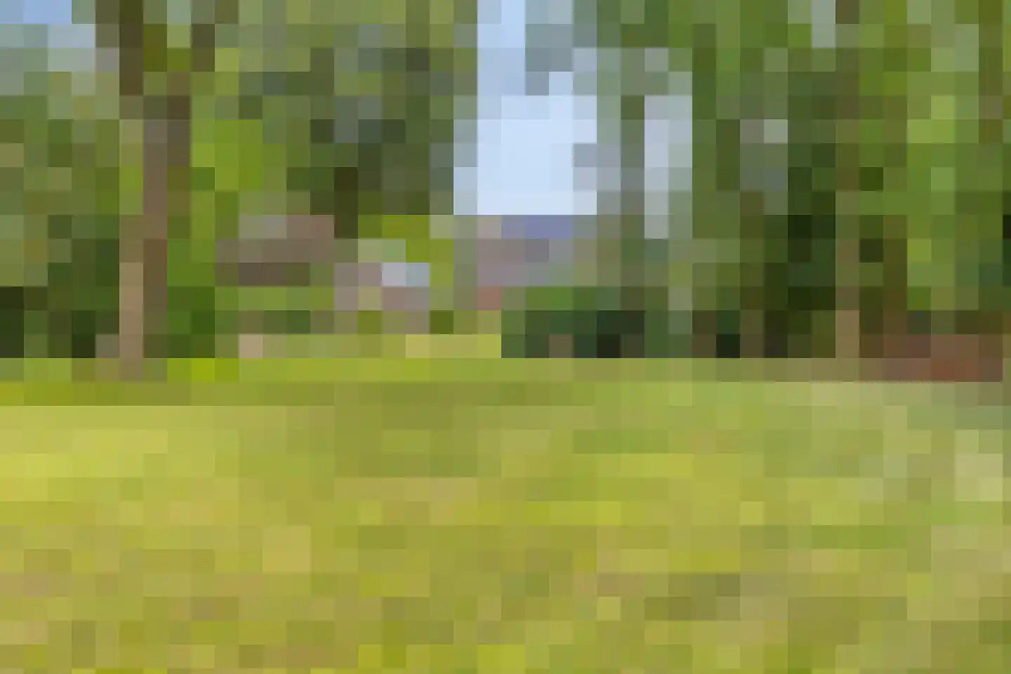 Lage Ham 151 Dongen thumbnail 48