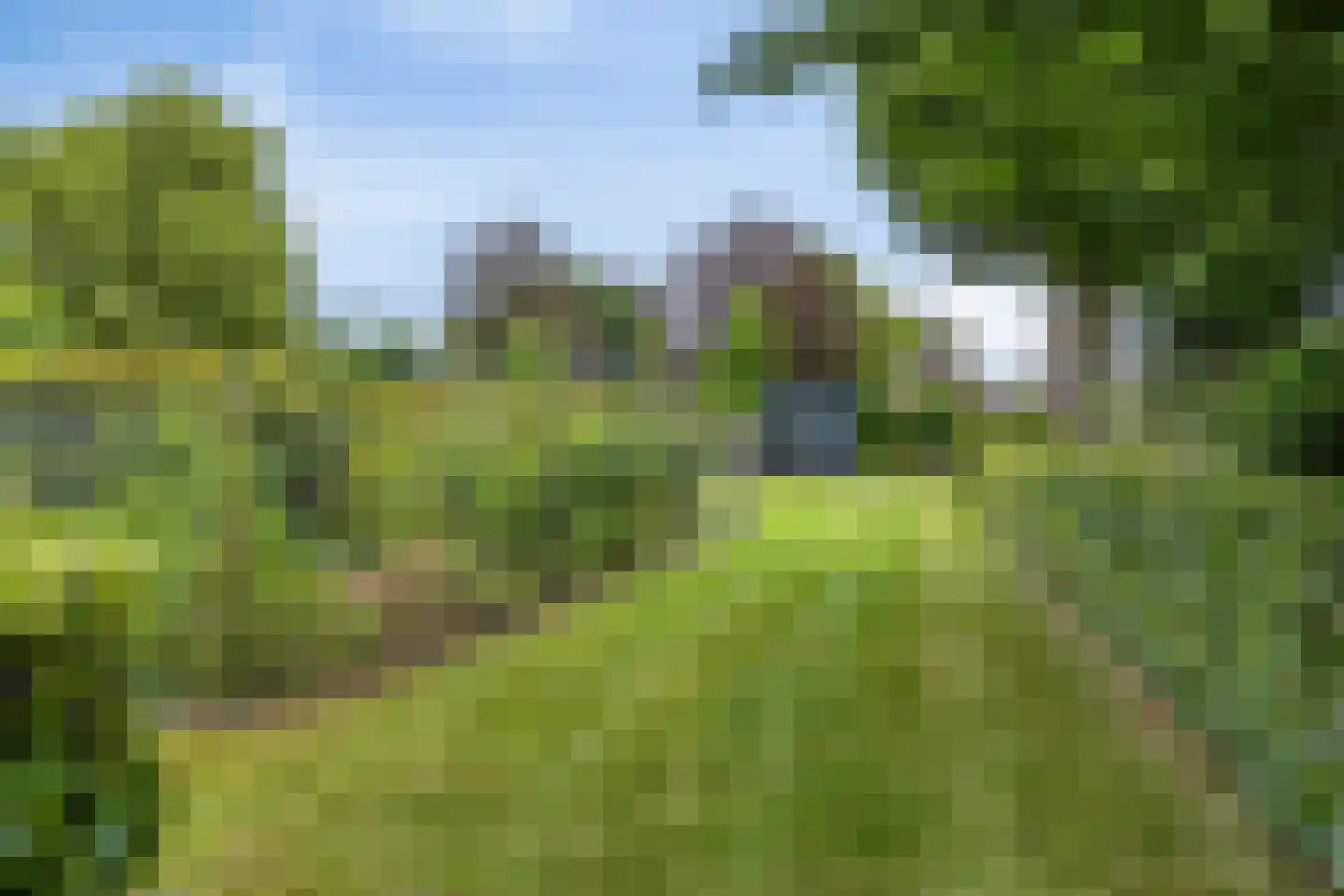 Lage Ham 151 Dongen thumbnail 50