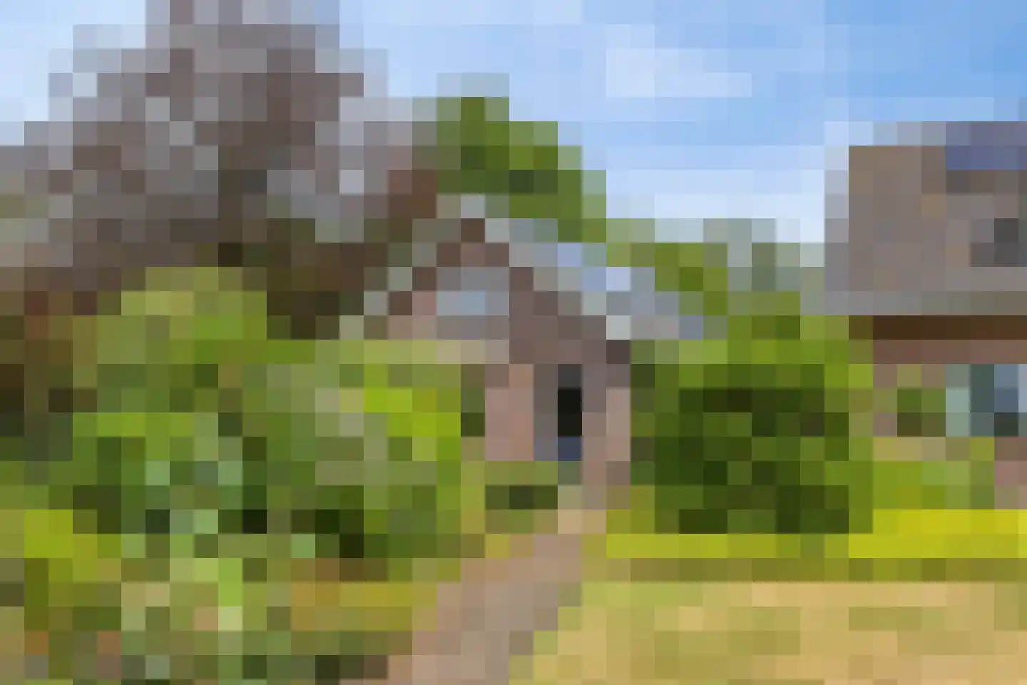 Lage Ham 151 Dongen thumbnail 51