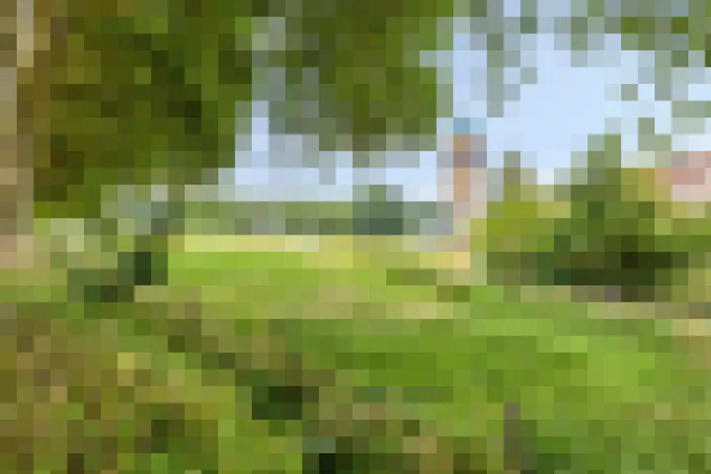 Lage Ham 151 Dongen thumbnail 52