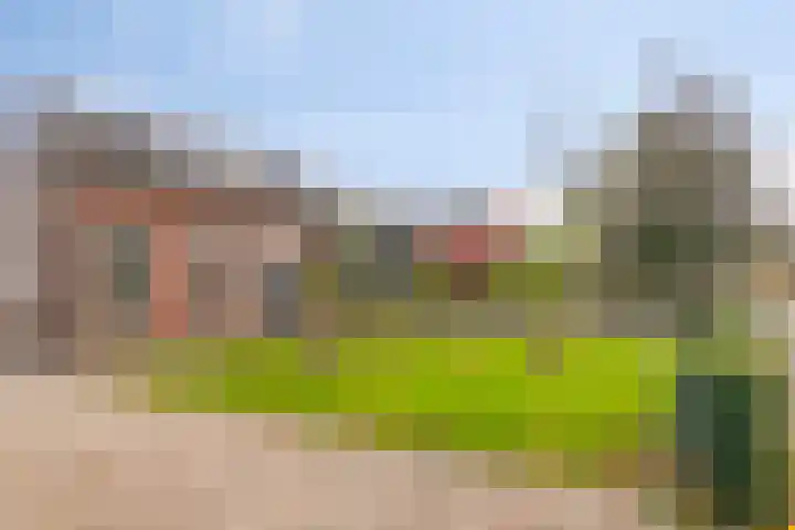 Lage Ham 162 Dongen thumbnail 10