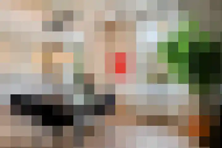 Lage Ham 162 Dongen thumbnail 17