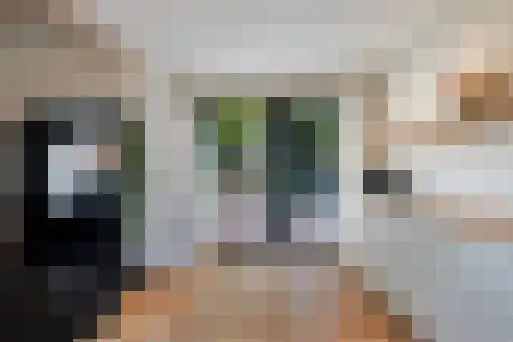 Lage Ham 162 Dongen thumbnail 18