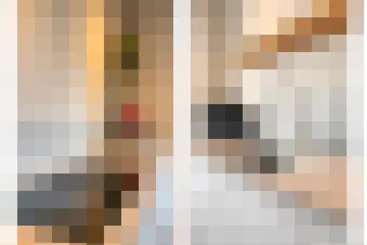 Lage Ham 162 Dongen thumbnail 19