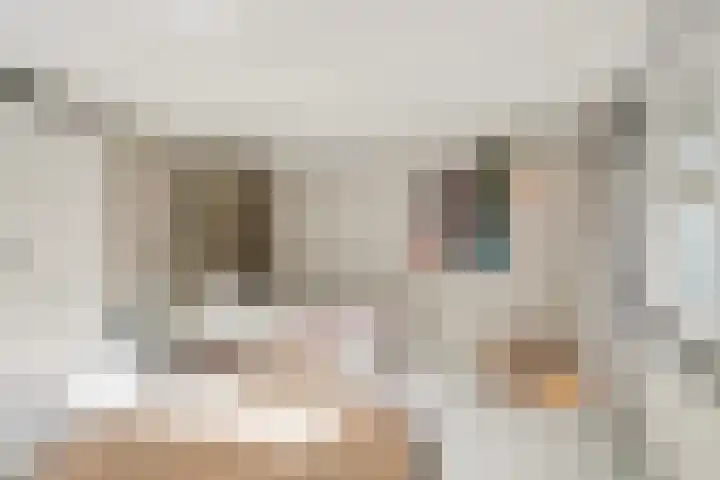 Lage Ham 162 Dongen thumbnail 24