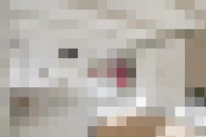 Lage Ham 162 Dongen thumbnail 25