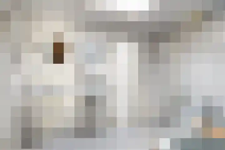 Lage Ham 162 Dongen thumbnail 26