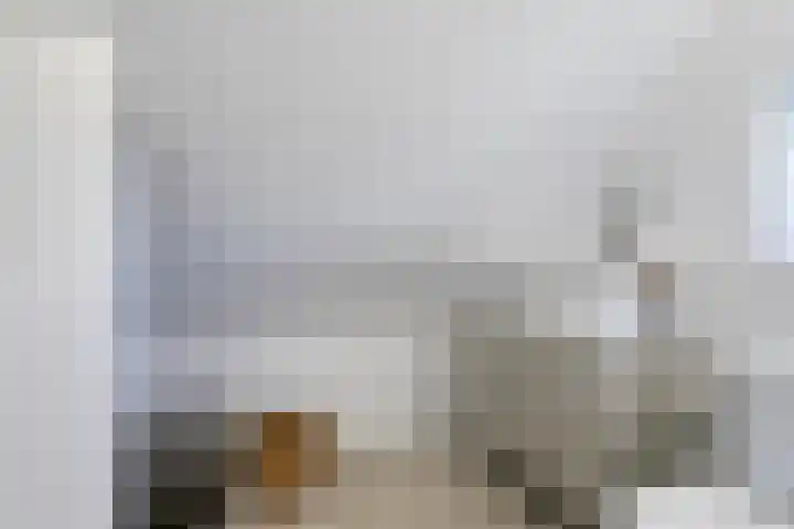 Lage Ham 162 Dongen thumbnail 33