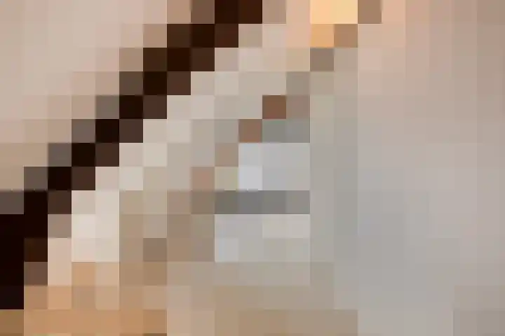 Lage Ham 162 Dongen thumbnail 36