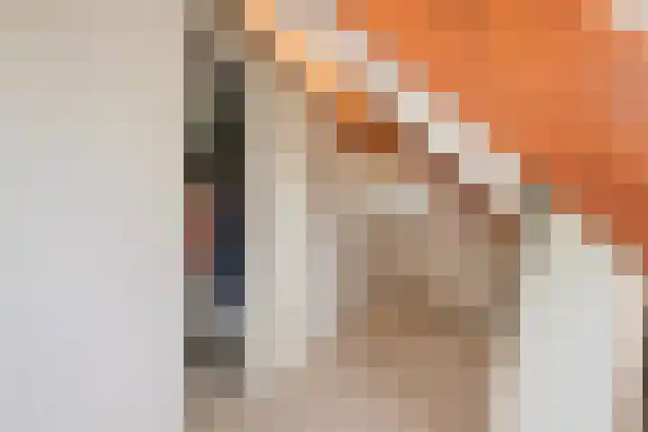 Lage Ham 162 Dongen thumbnail 37