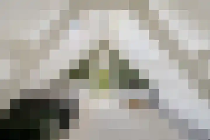 Lage Ham 162 Dongen thumbnail 38