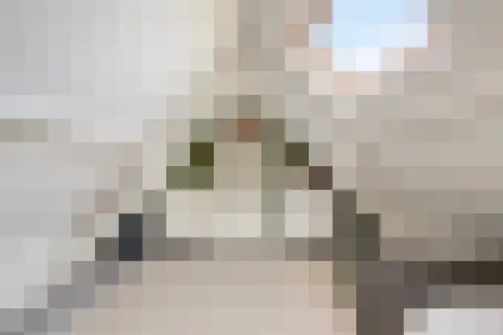 Lage Ham 162 Dongen thumbnail 39