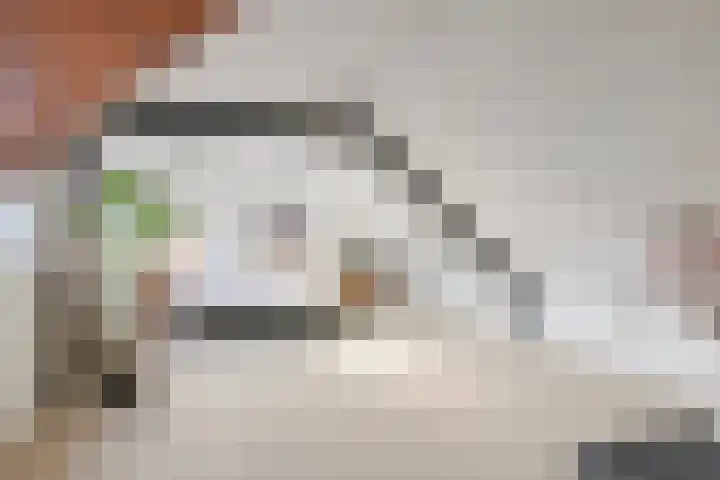 Lage Ham 162 Dongen thumbnail 4