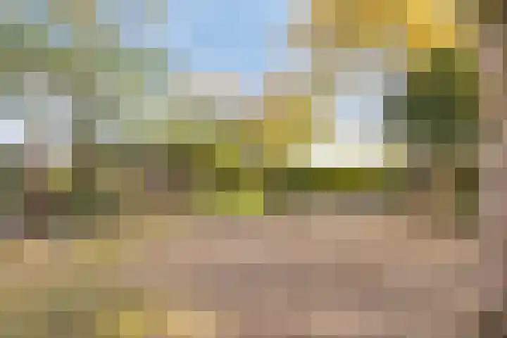 Lage Ham 162 Dongen thumbnail 41