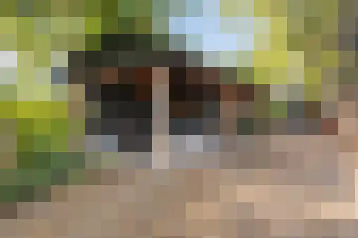 Lage Ham 162 Dongen thumbnail 42