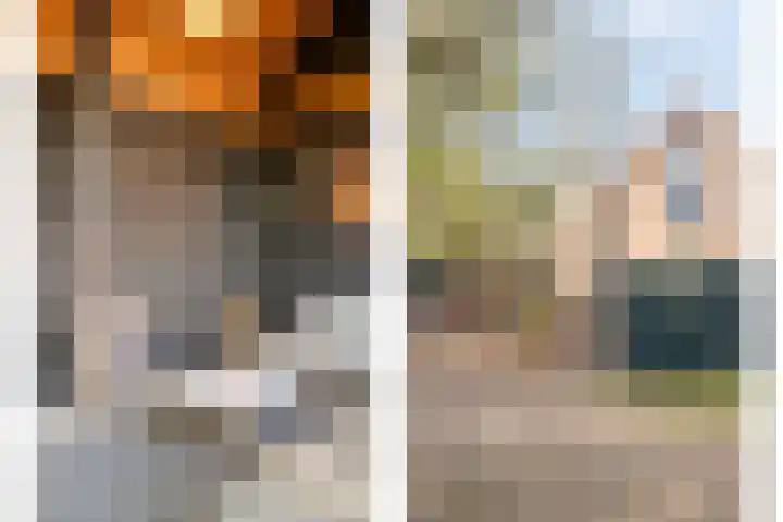 Lage Ham 162 Dongen thumbnail 45
