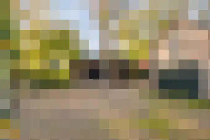 Lage Ham 162 Dongen thumbnail 46