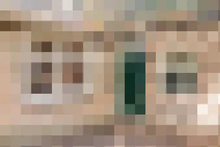 Lage Ham 162 Dongen thumbnail 49