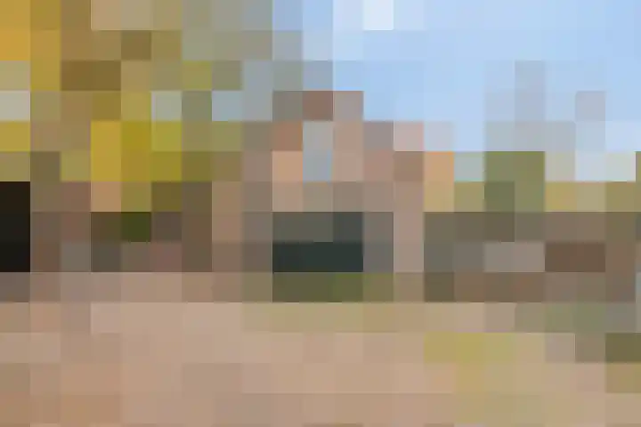 Lage Ham 162 Dongen thumbnail 51