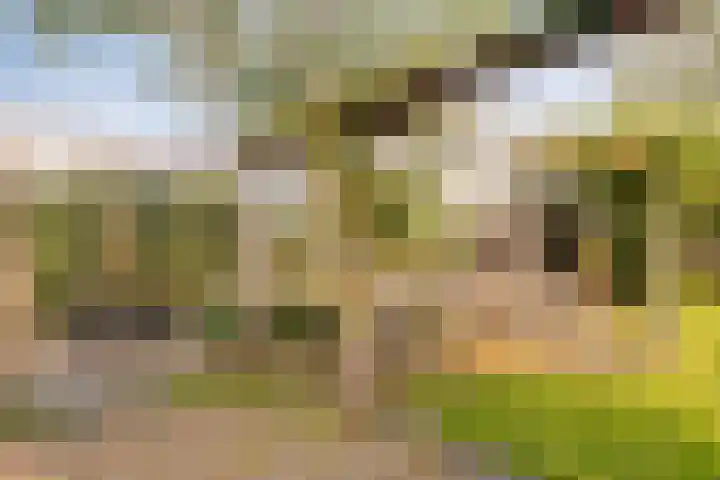 Lage Ham 162 Dongen thumbnail 53