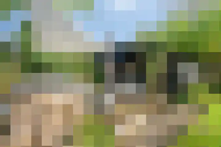 Lage Ham 162 Dongen thumbnail 54