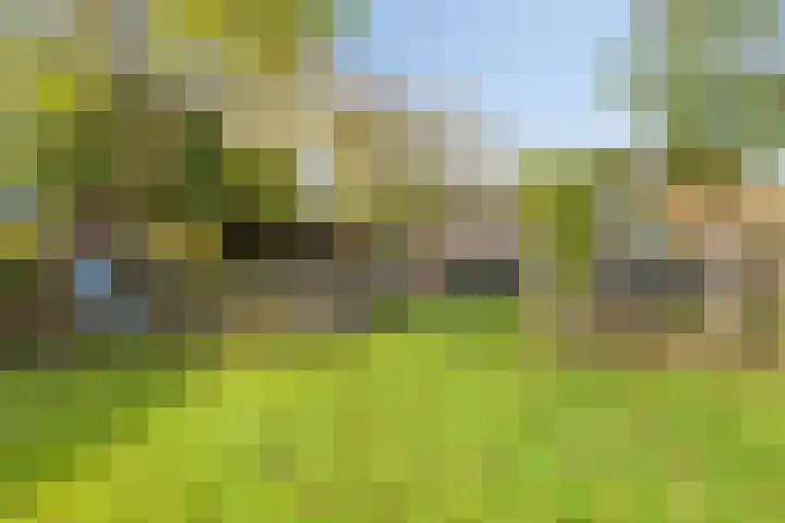 Lage Ham 162 Dongen thumbnail 55