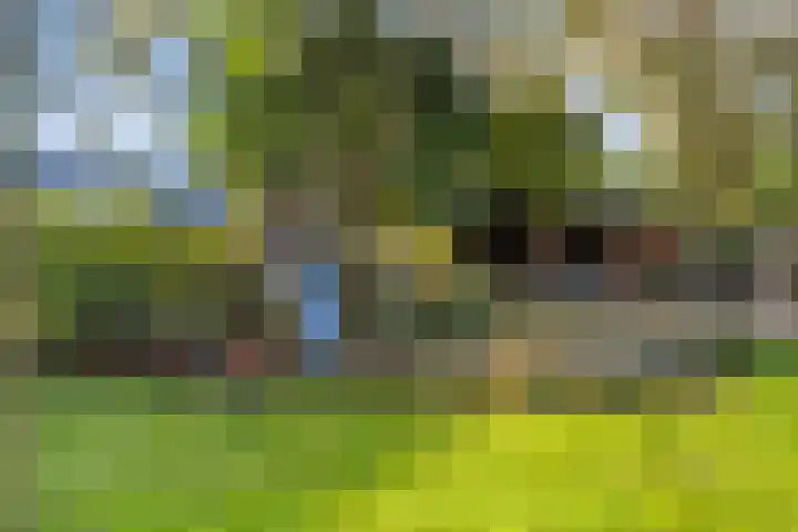 Lage Ham 162 Dongen thumbnail 56