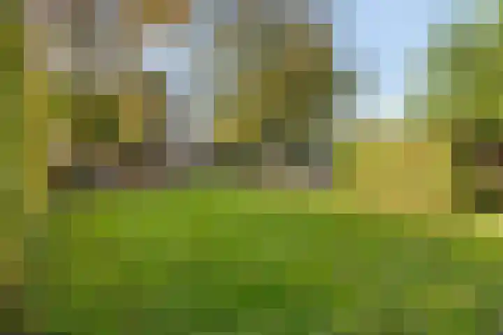 Lage Ham 162 Dongen thumbnail 57