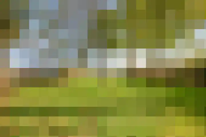Lage Ham 162 Dongen thumbnail 58
