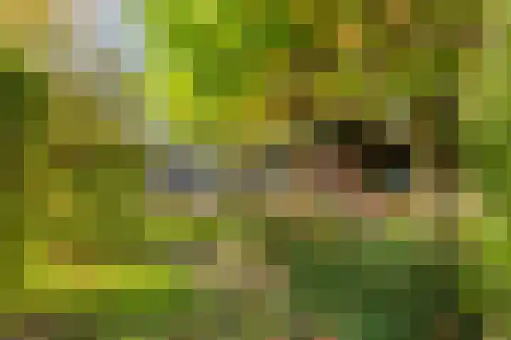 Lage Ham 162 Dongen thumbnail 59