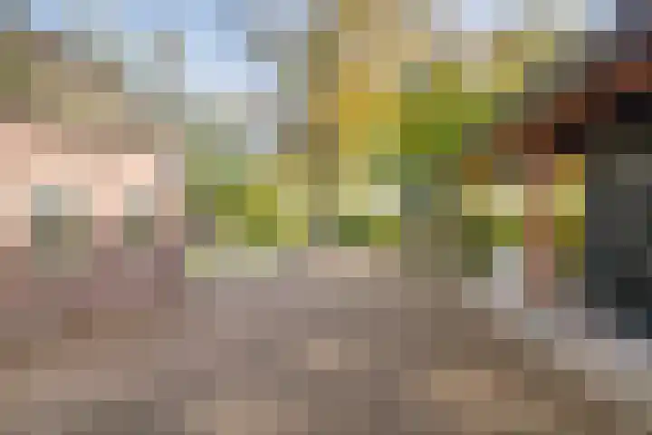 Lage Ham 162 Dongen thumbnail 6