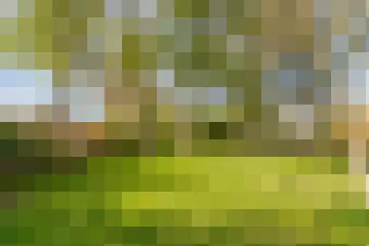 Lage Ham 162 Dongen thumbnail 60