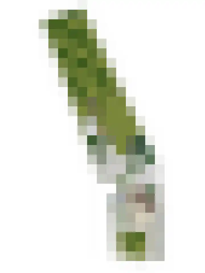 Lage Ham 162 Dongen thumbnail 61
