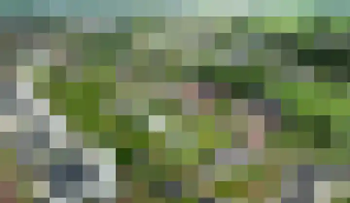 Lage Ham 2 Dongen foto 3