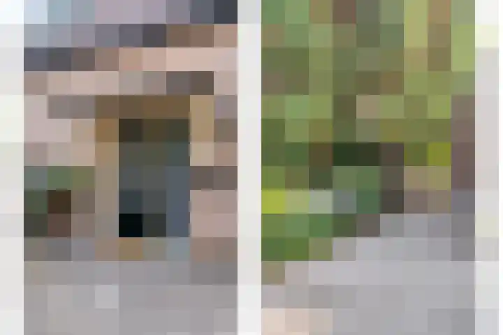 Lage Ham 88 Dongen thumbnail 10